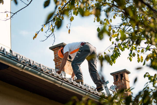Best Roof Replacement Cost  in Breckenridge, MI