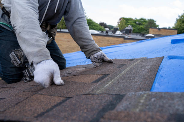Best Metal Roofing Contractor  in Breckenridge, MI