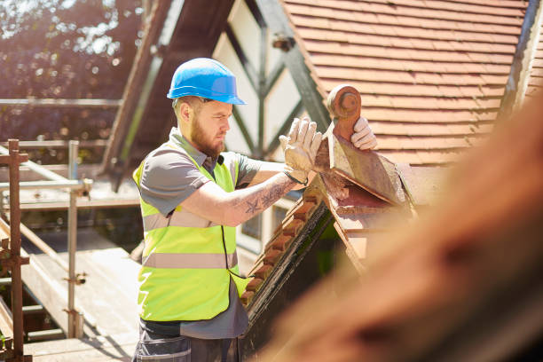 Best Residential Roof Replacement  in Breckenridge, MI