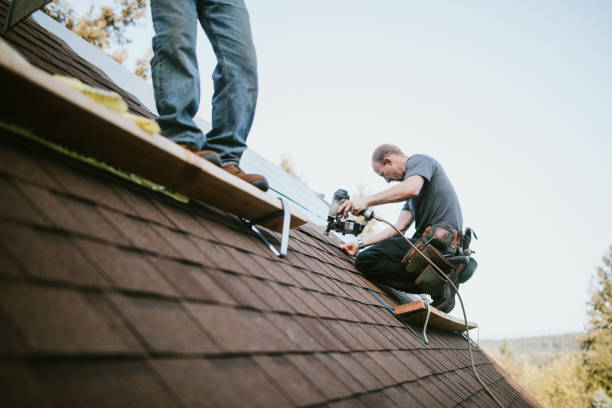 Best Slate Roofing Contractor  in Breckenridge, MI