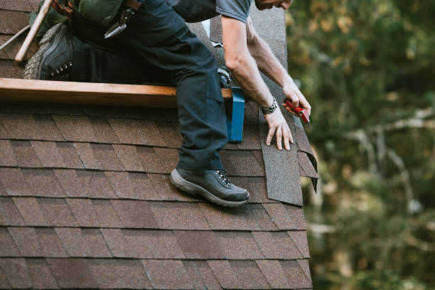 Roof Gutter Cleaning in Breckenridge, MI