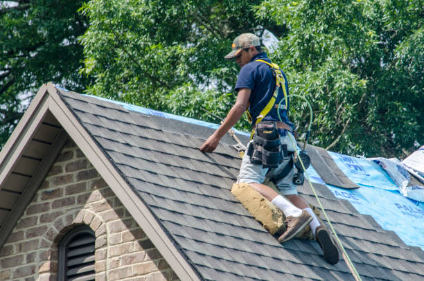 Best Roof Maintenance Services  in Breckenridge, MI